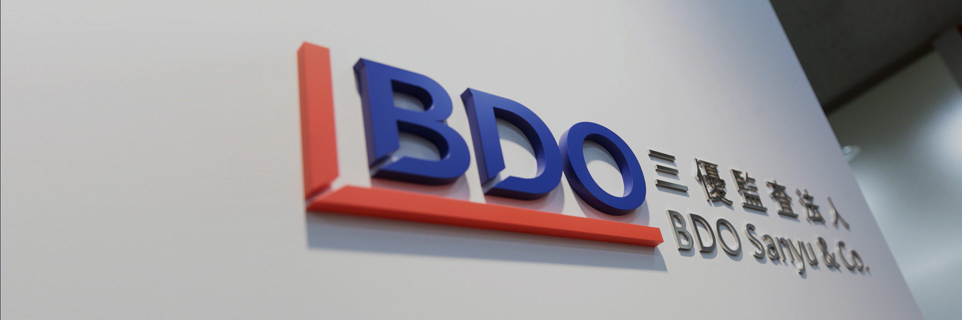 BDO Sanyu Information